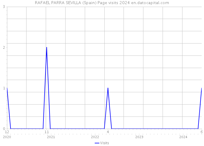 RAFAEL PARRA SEVILLA (Spain) Page visits 2024 