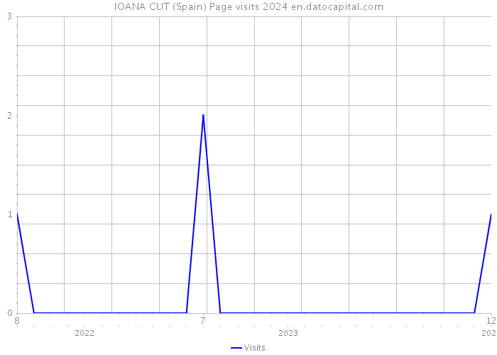 IOANA CUT (Spain) Page visits 2024 