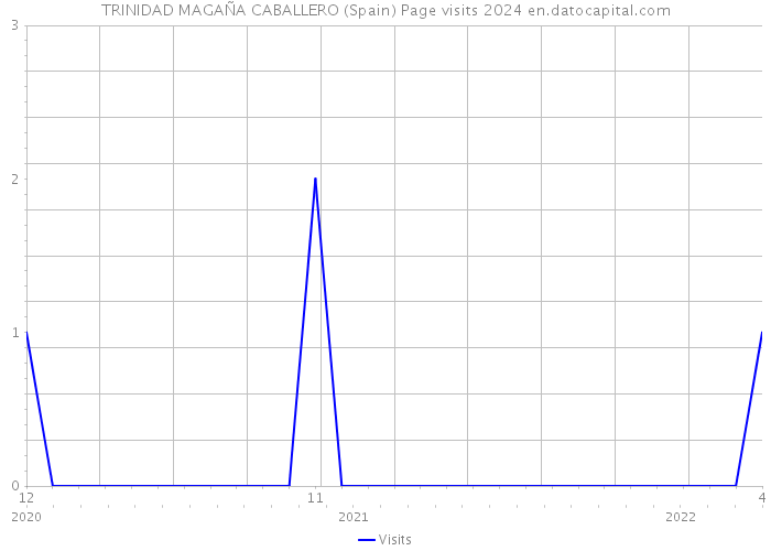 TRINIDAD MAGAÑA CABALLERO (Spain) Page visits 2024 