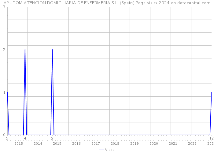 AYUDOM ATENCION DOMICILIARIA DE ENFERMERIA S.L. (Spain) Page visits 2024 