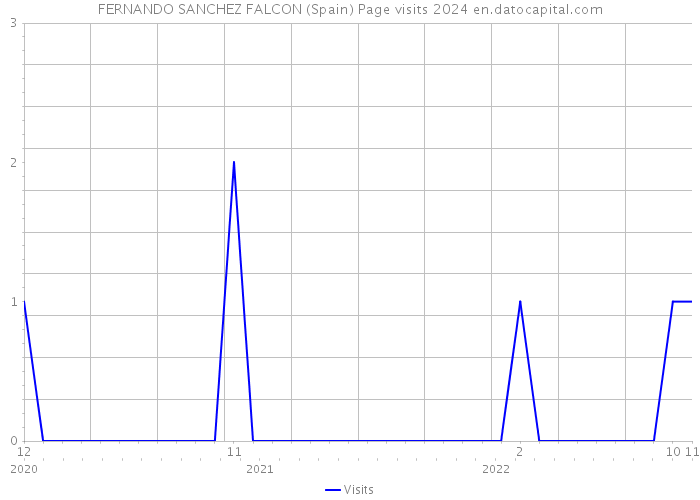 FERNANDO SANCHEZ FALCON (Spain) Page visits 2024 
