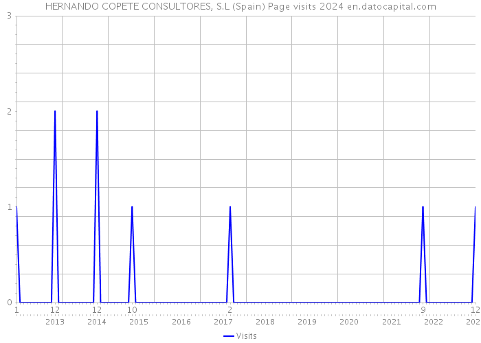 HERNANDO COPETE CONSULTORES, S.L (Spain) Page visits 2024 