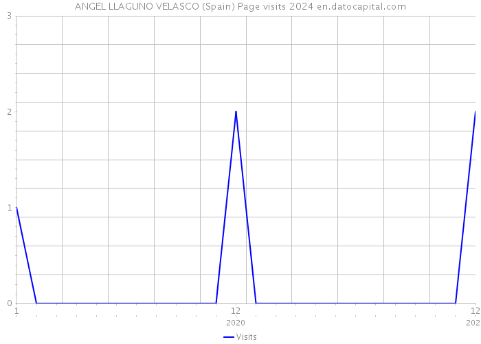 ANGEL LLAGUNO VELASCO (Spain) Page visits 2024 