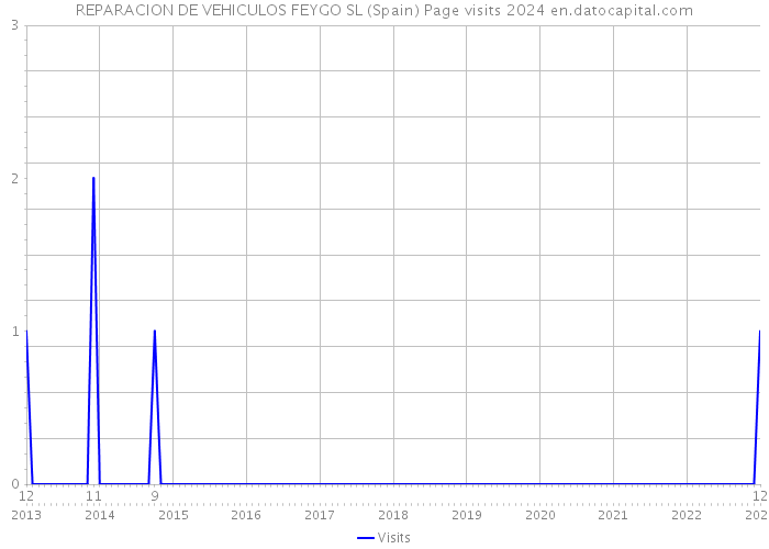 REPARACION DE VEHICULOS FEYGO SL (Spain) Page visits 2024 