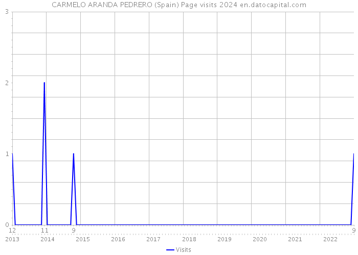 CARMELO ARANDA PEDRERO (Spain) Page visits 2024 