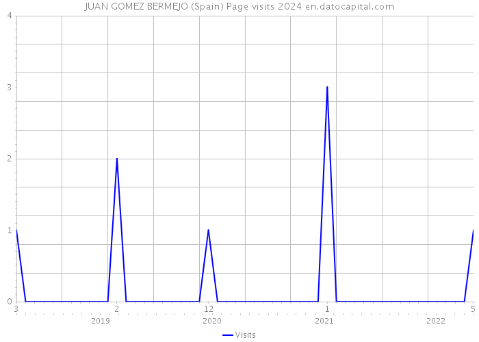 JUAN GOMEZ BERMEJO (Spain) Page visits 2024 