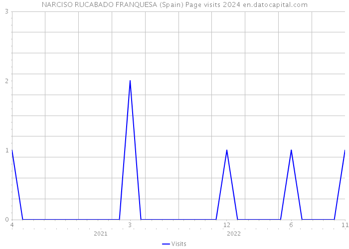 NARCISO RUCABADO FRANQUESA (Spain) Page visits 2024 