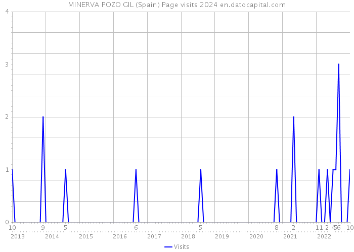 MINERVA POZO GIL (Spain) Page visits 2024 