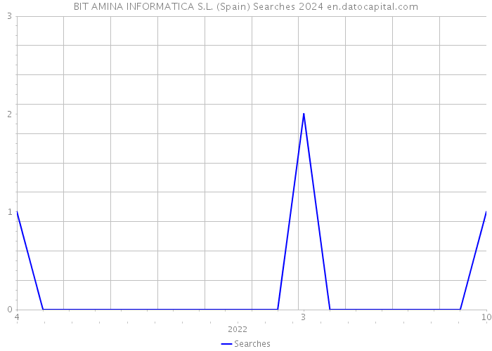 BIT AMINA INFORMATICA S.L. (Spain) Searches 2024 