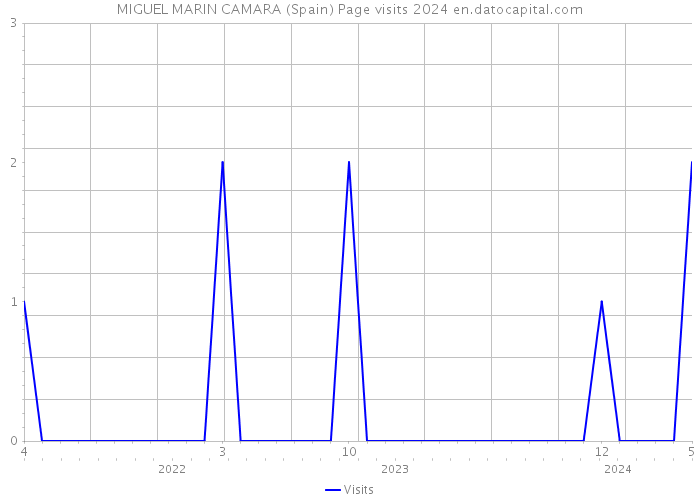 MIGUEL MARIN CAMARA (Spain) Page visits 2024 