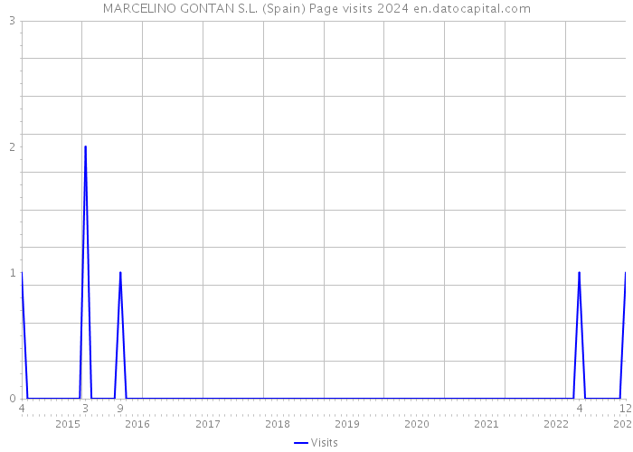 MARCELINO GONTAN S.L. (Spain) Page visits 2024 