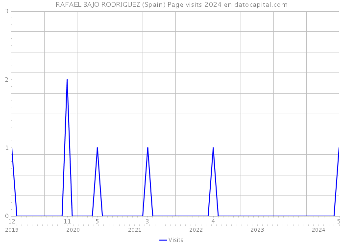RAFAEL BAJO RODRIGUEZ (Spain) Page visits 2024 
