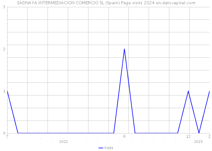 SADNAYA INTERMEDIACION COMERCIO SL (Spain) Page visits 2024 
