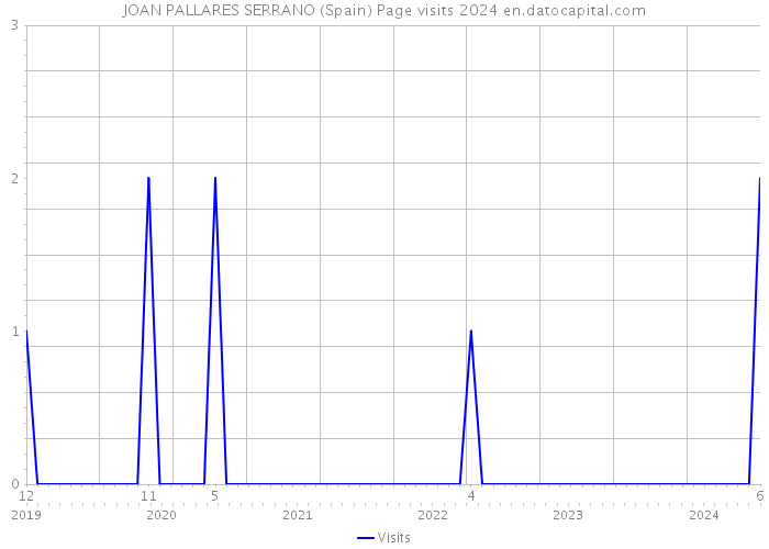 JOAN PALLARES SERRANO (Spain) Page visits 2024 