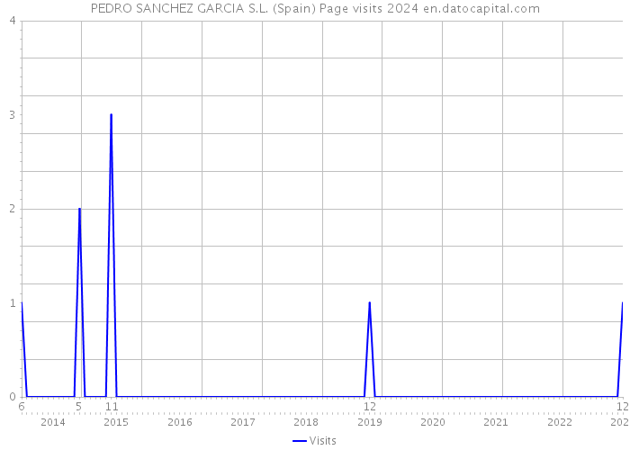 PEDRO SANCHEZ GARCIA S.L. (Spain) Page visits 2024 