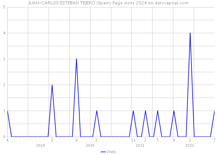 JUAN-CARLOS ESTEBAN TEJERO (Spain) Page visits 2024 