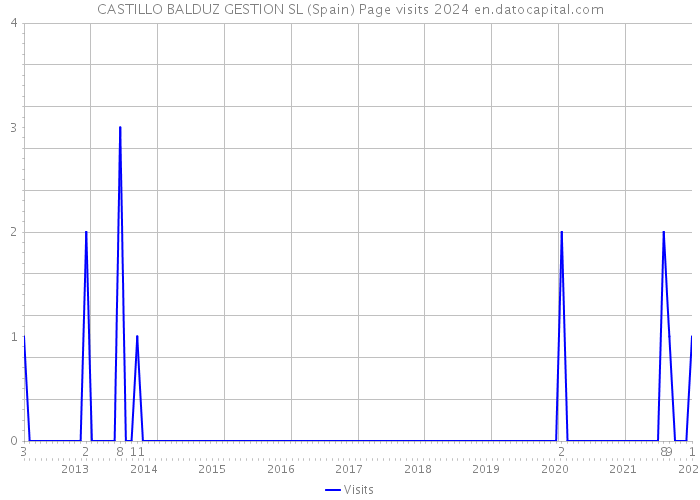 CASTILLO BALDUZ GESTION SL (Spain) Page visits 2024 