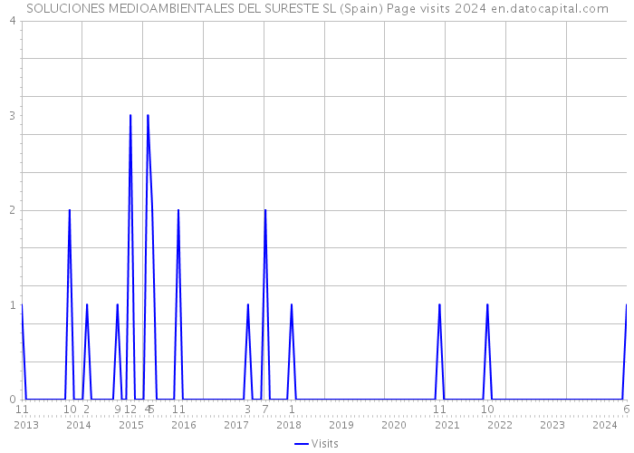 SOLUCIONES MEDIOAMBIENTALES DEL SURESTE SL (Spain) Page visits 2024 