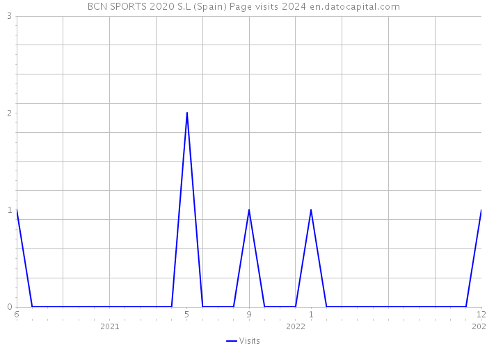 BCN SPORTS 2020 S.L (Spain) Page visits 2024 