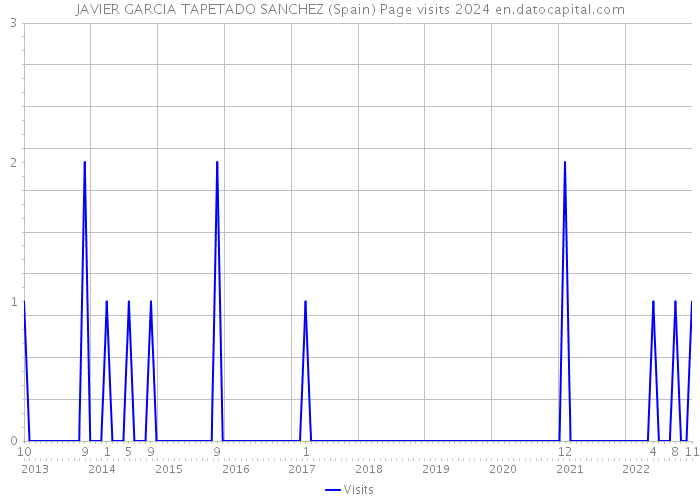 JAVIER GARCIA TAPETADO SANCHEZ (Spain) Page visits 2024 