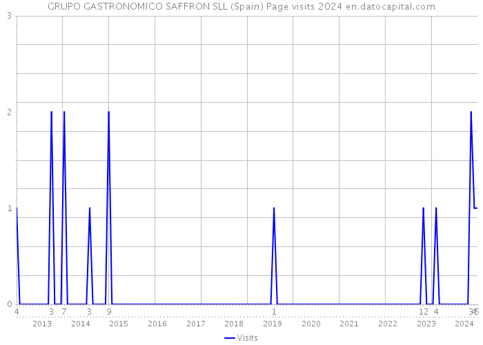 GRUPO GASTRONOMICO SAFFRON SLL (Spain) Page visits 2024 