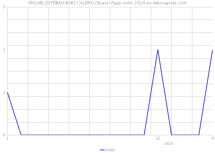 MIGUEL ESTEBAN BAEZ CALERO (Spain) Page visits 2024 