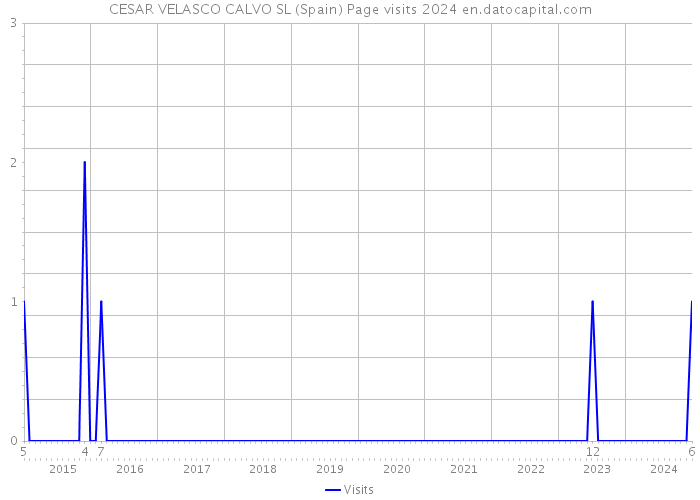 CESAR VELASCO CALVO SL (Spain) Page visits 2024 