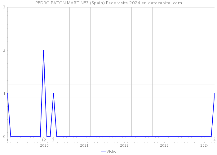 PEDRO PATON MARTINEZ (Spain) Page visits 2024 