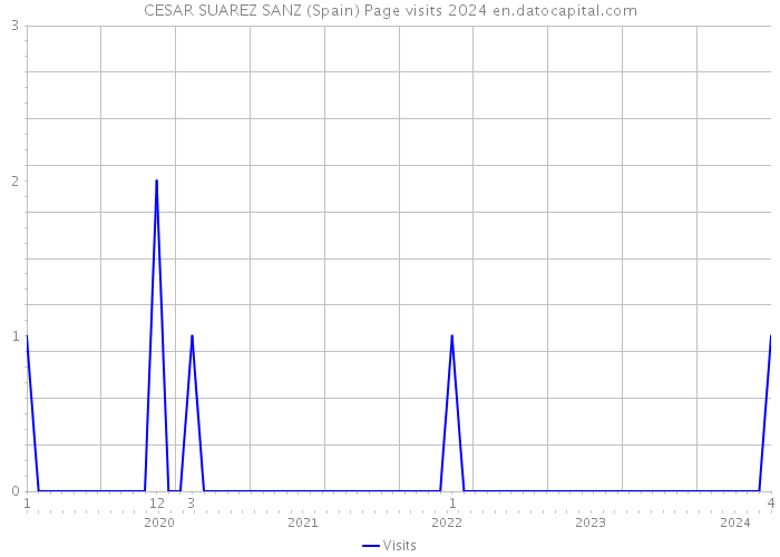 CESAR SUAREZ SANZ (Spain) Page visits 2024 