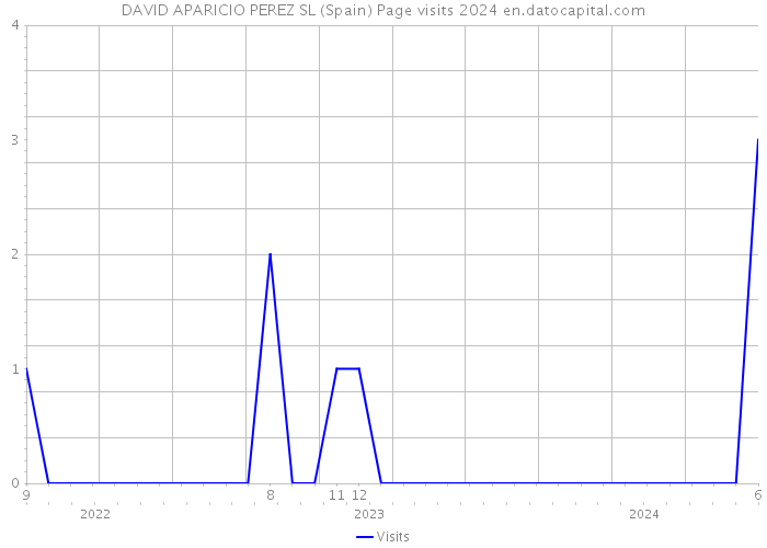 DAVID APARICIO PEREZ SL (Spain) Page visits 2024 