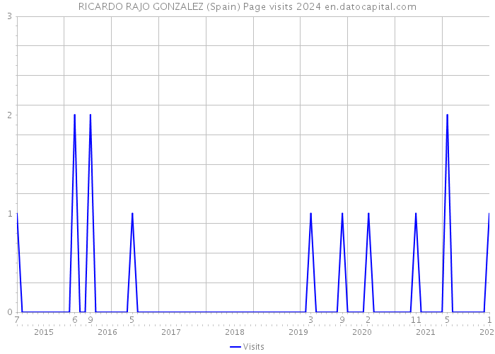 RICARDO RAJO GONZALEZ (Spain) Page visits 2024 