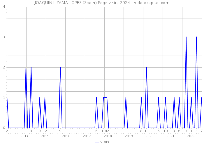 JOAQUIN LIZAMA LOPEZ (Spain) Page visits 2024 