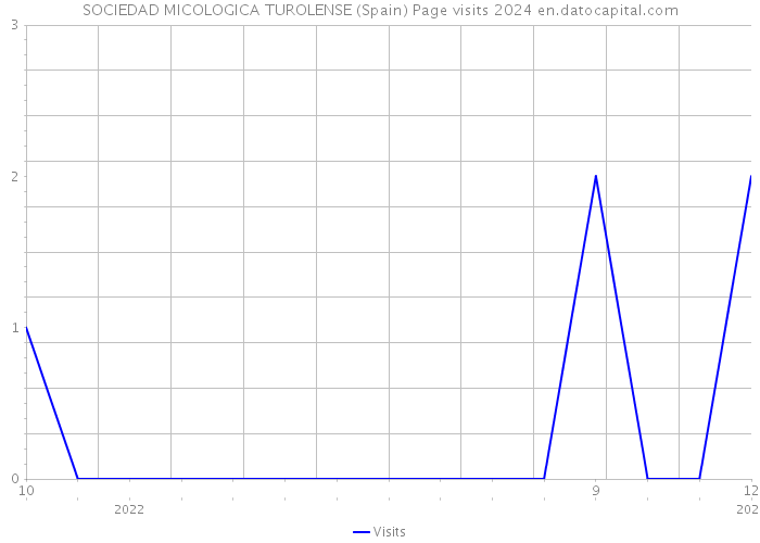 SOCIEDAD MICOLOGICA TUROLENSE (Spain) Page visits 2024 