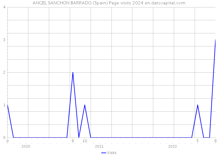 ANGEL SANCHON BARRADO (Spain) Page visits 2024 