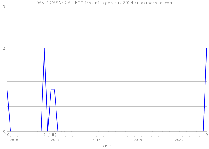 DAVID CASAS GALLEGO (Spain) Page visits 2024 