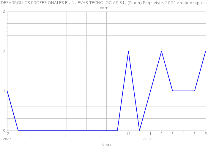 DESARROLLOS PROFESIONALES EN NUEVAS TECNOLOGIAS S.L. (Spain) Page visits 2024 