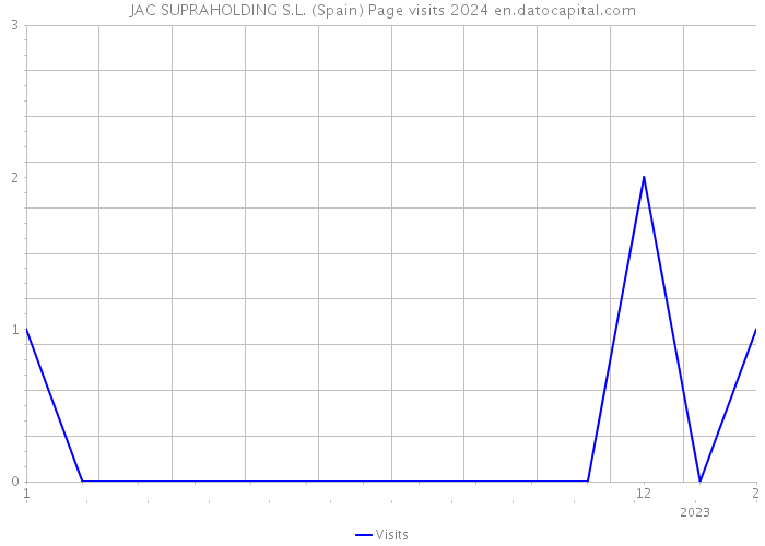 JAC SUPRAHOLDING S.L. (Spain) Page visits 2024 