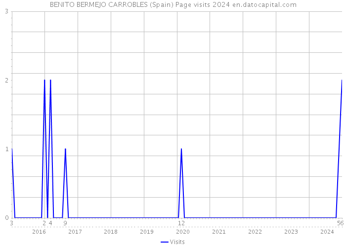 BENITO BERMEJO CARROBLES (Spain) Page visits 2024 