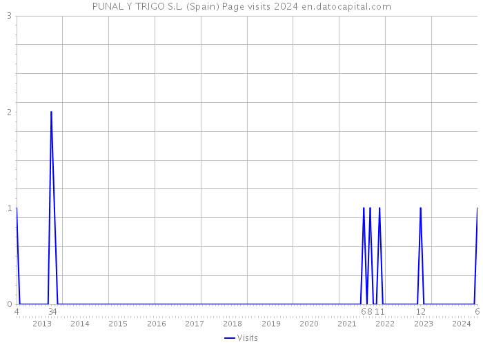 PUNAL Y TRIGO S.L. (Spain) Page visits 2024 