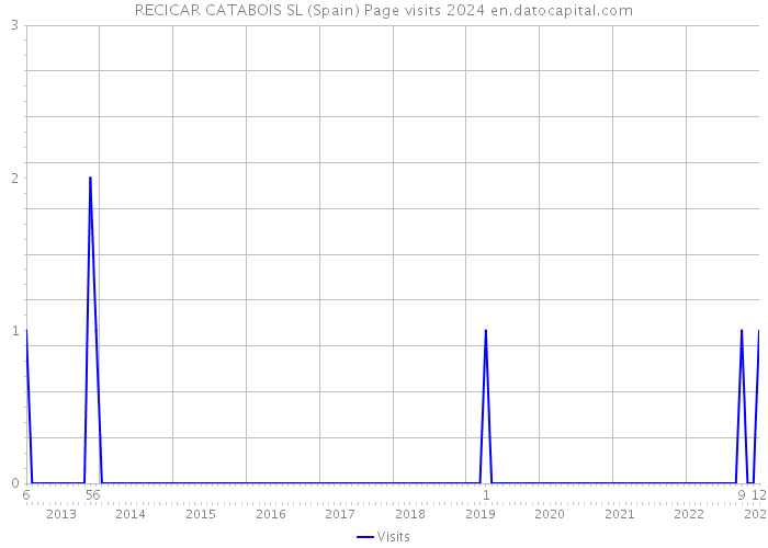 RECICAR CATABOIS SL (Spain) Page visits 2024 
