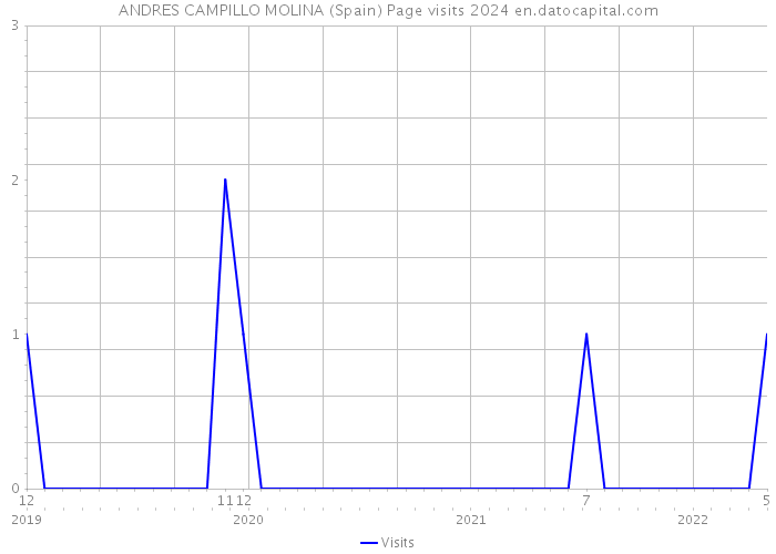 ANDRES CAMPILLO MOLINA (Spain) Page visits 2024 