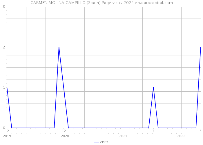 CARMEN MOLINA CAMPILLO (Spain) Page visits 2024 