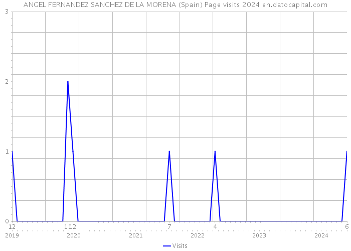 ANGEL FERNANDEZ SANCHEZ DE LA MORENA (Spain) Page visits 2024 