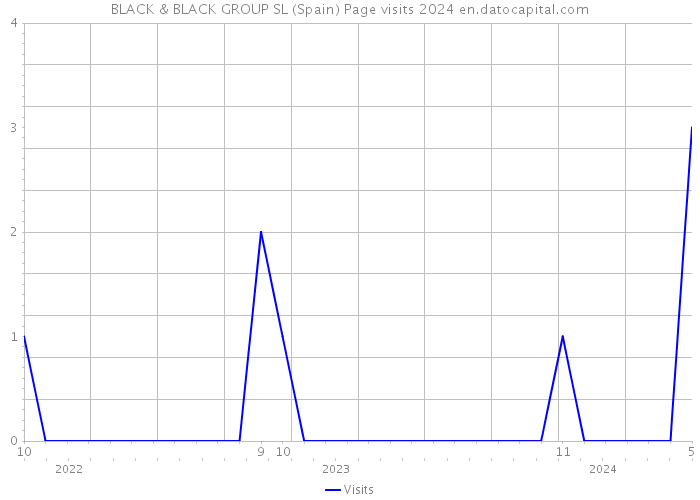BLACK & BLACK GROUP SL (Spain) Page visits 2024 