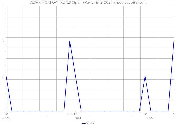 CESAR MONFORT REYES (Spain) Page visits 2024 