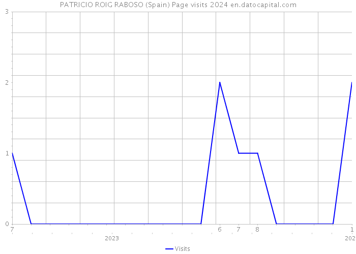 PATRICIO ROIG RABOSO (Spain) Page visits 2024 