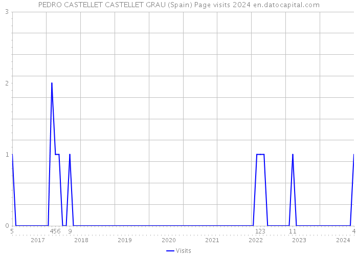 PEDRO CASTELLET CASTELLET GRAU (Spain) Page visits 2024 