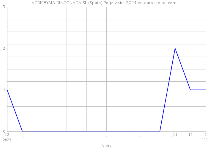 AGRIPEYMA RINCONADA SL (Spain) Page visits 2024 