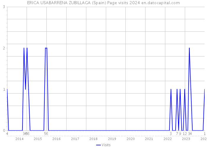 ERICA USABARRENA ZUBILLAGA (Spain) Page visits 2024 