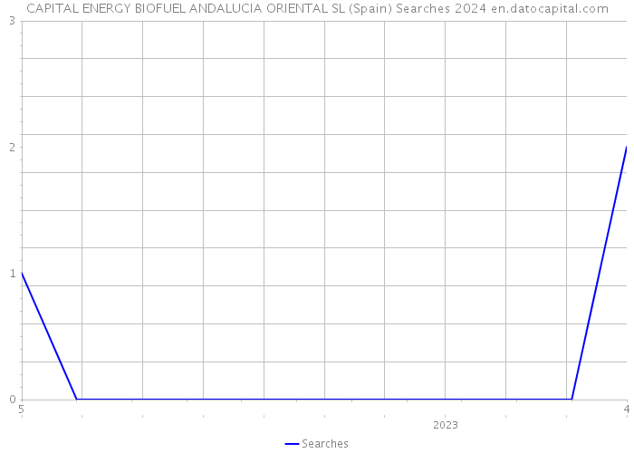 CAPITAL ENERGY BIOFUEL ANDALUCIA ORIENTAL SL (Spain) Searches 2024 